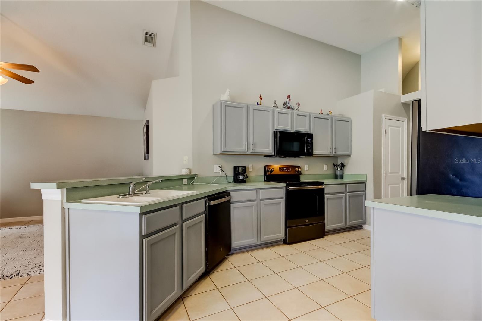 28826 WINDOVER ST, WESLEY CHAPEL, FL, 33545