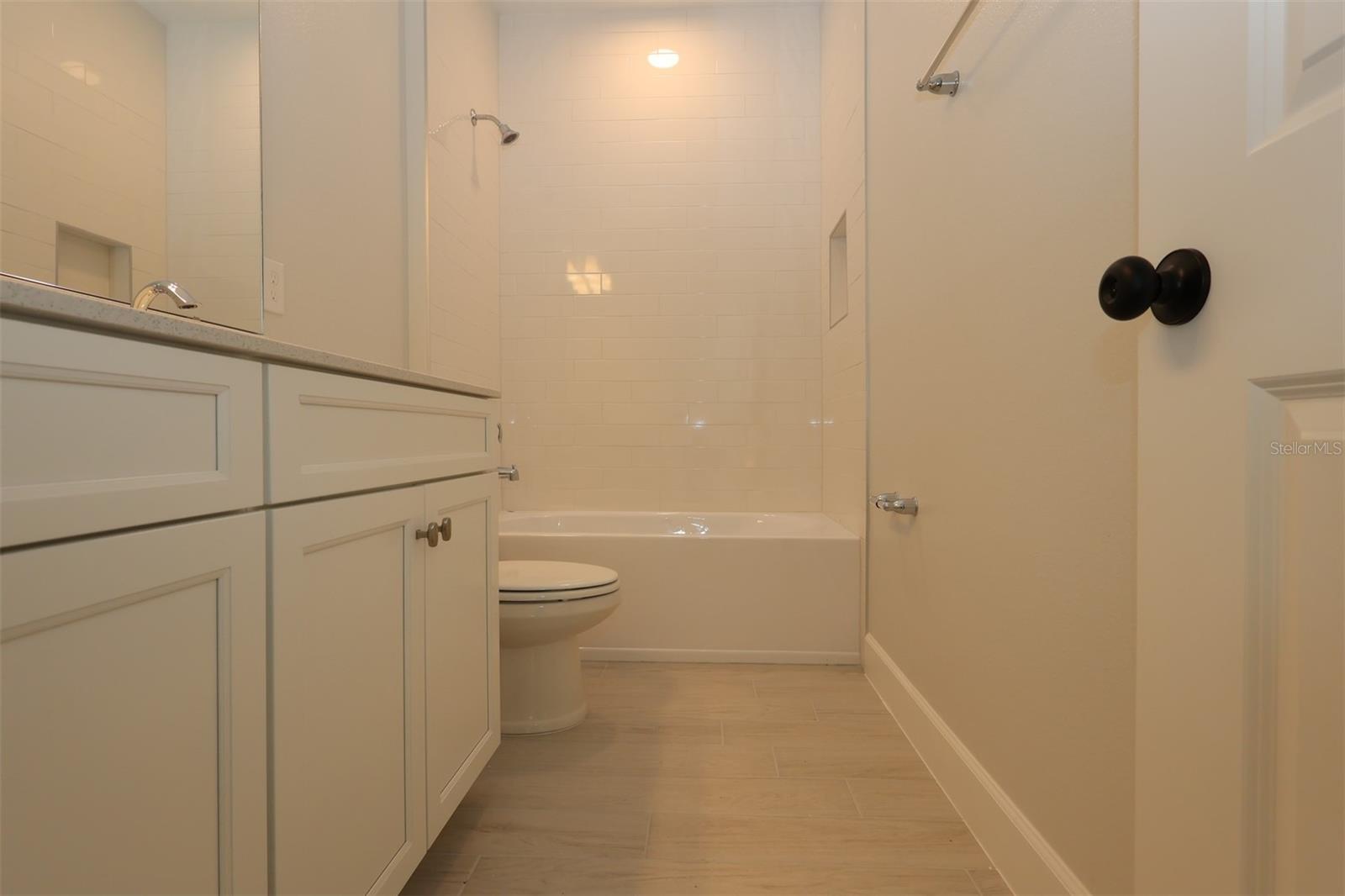 17359 BEACHGRASS ALY, WINTER GARDEN, FL, 34787