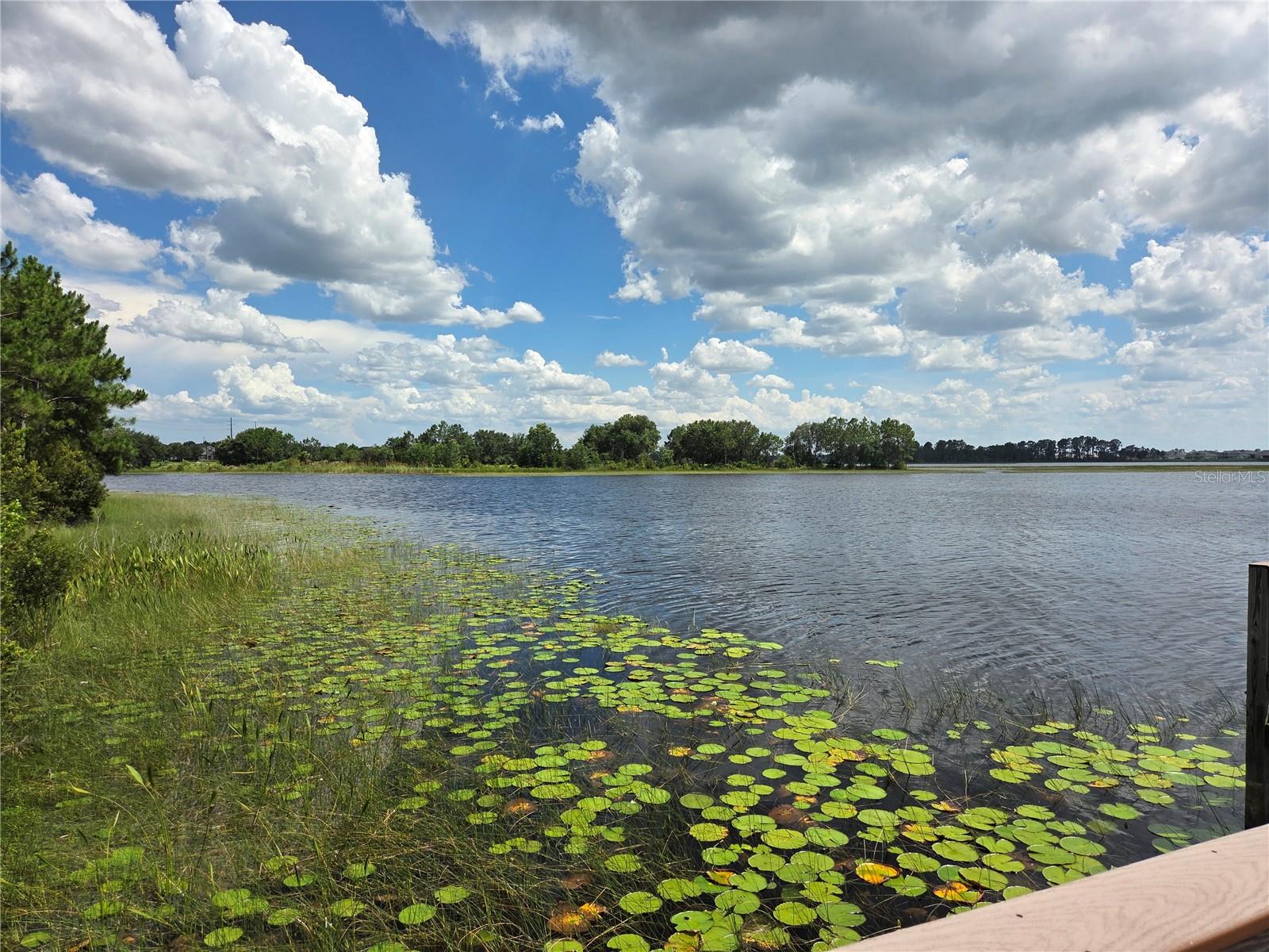 15500 FOUNTAIN COVE CT, WINTER GARDEN, FL, 34787