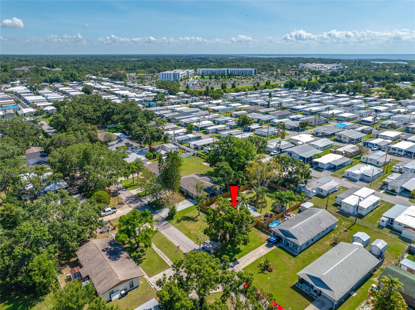 317 ELIZABETH AVE, CLEARWATER, FL, 33759