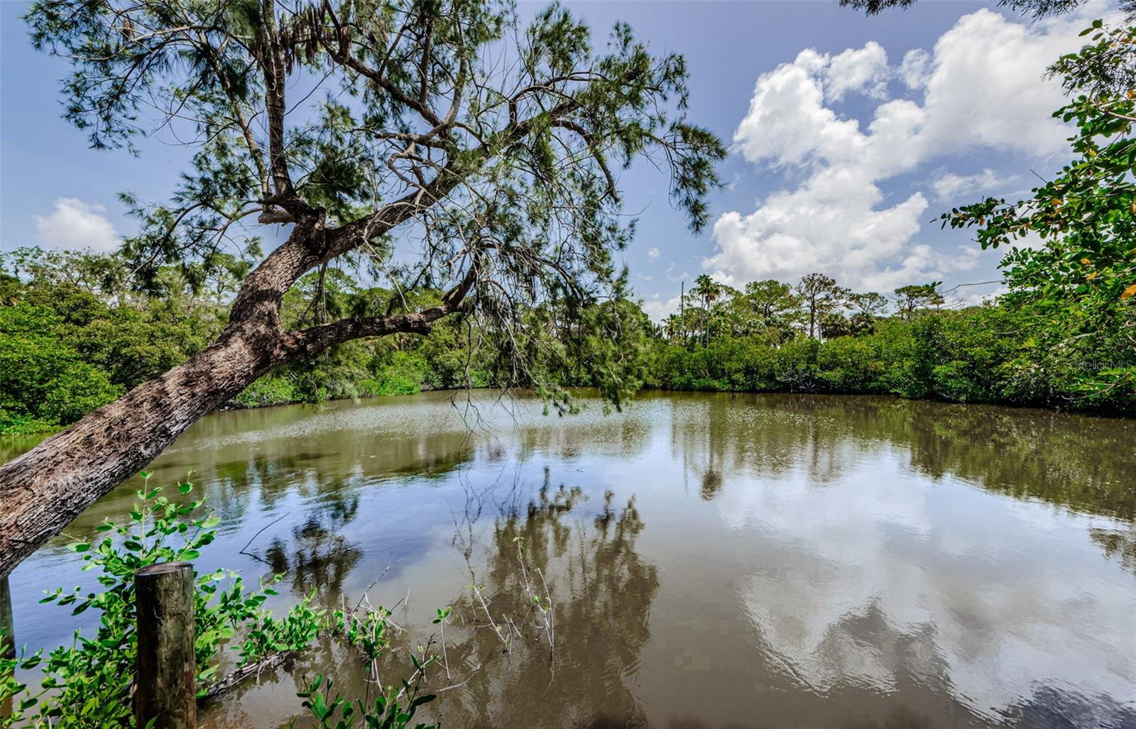 7332 JANCZLIK DR, NEW PORT RICHEY, FL, 34652