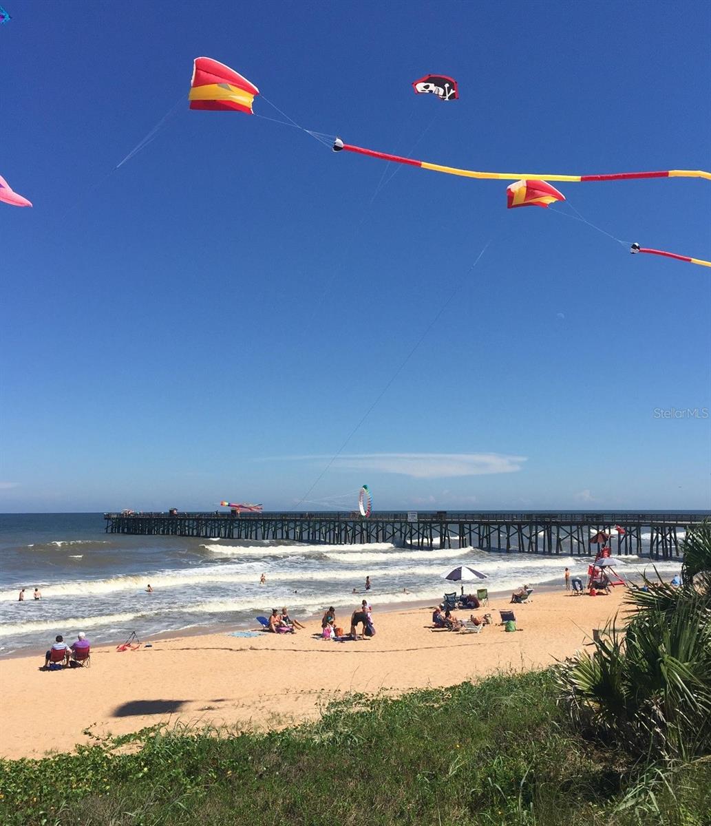 265 OCEAN PALM DR, FLAGLER BEACH, FL, 32136