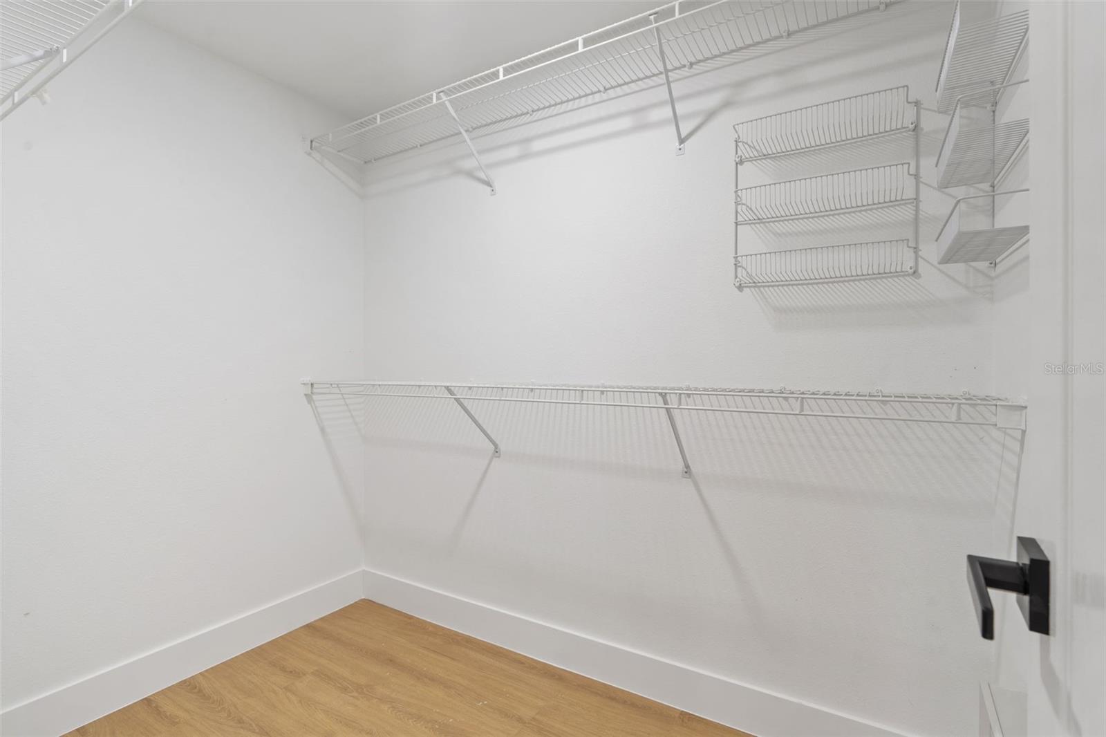 5628 TERRAIN DE GOLF DR, LUTZ, FL, 33558