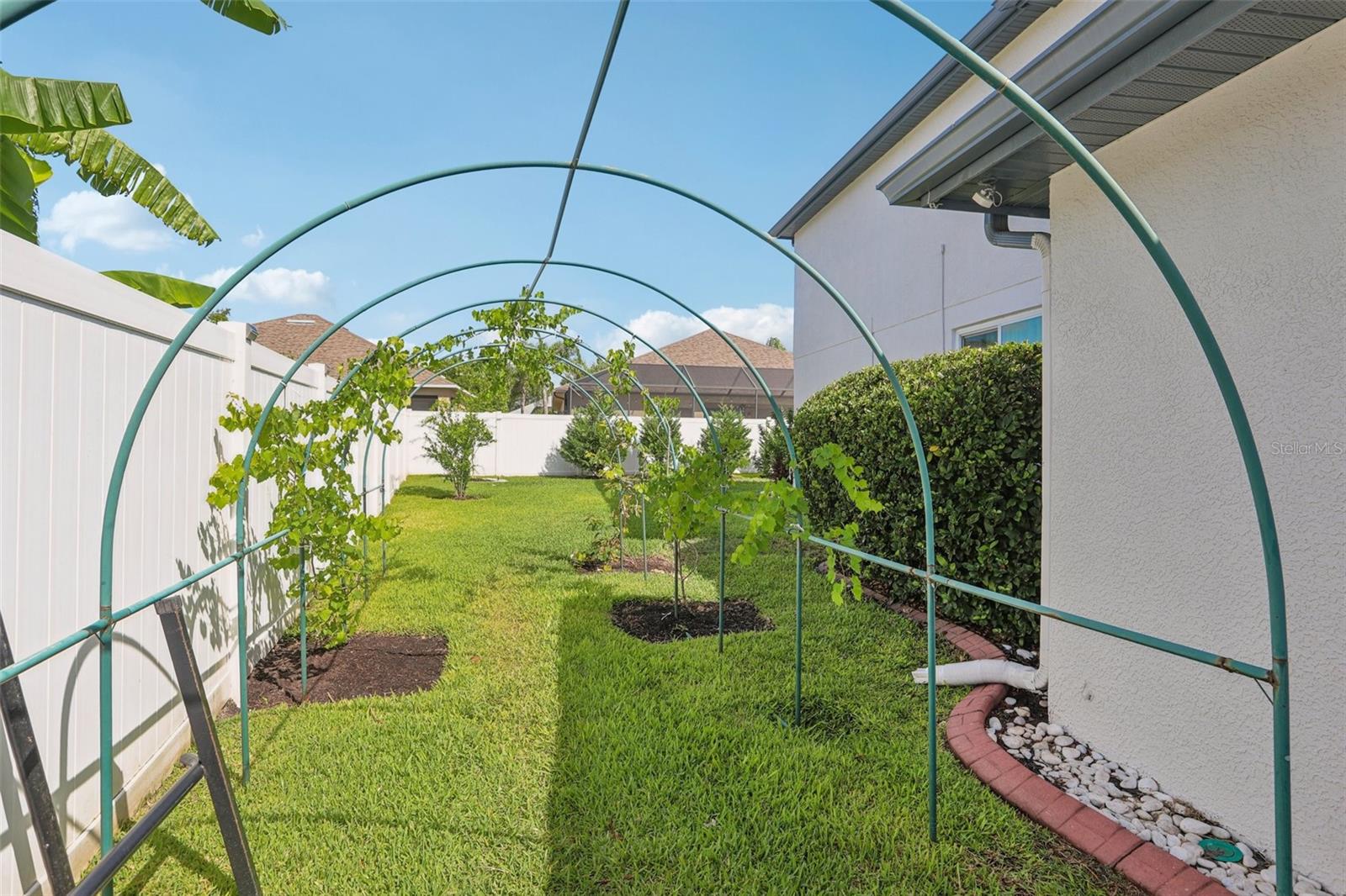 1802 REGAL MIST LOOP, TRINITY, FL, 34655