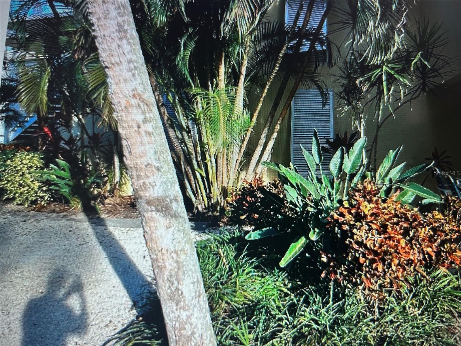 5310 GULF OF MEXICO DR #18, LONGBOAT KEY, FL, 34228