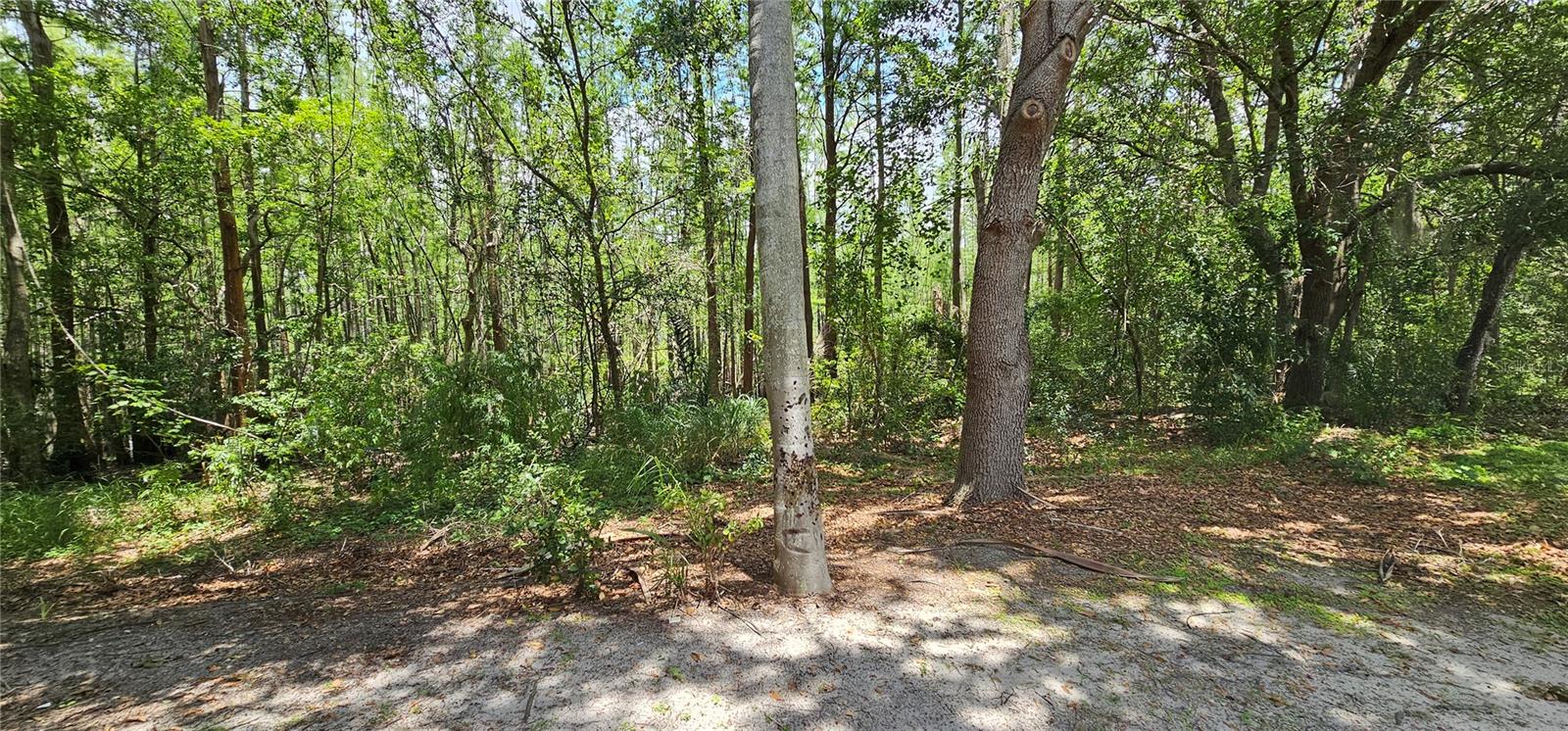 8821 CORAL PALMS CT #A, KISSIMMEE, FL, 34747