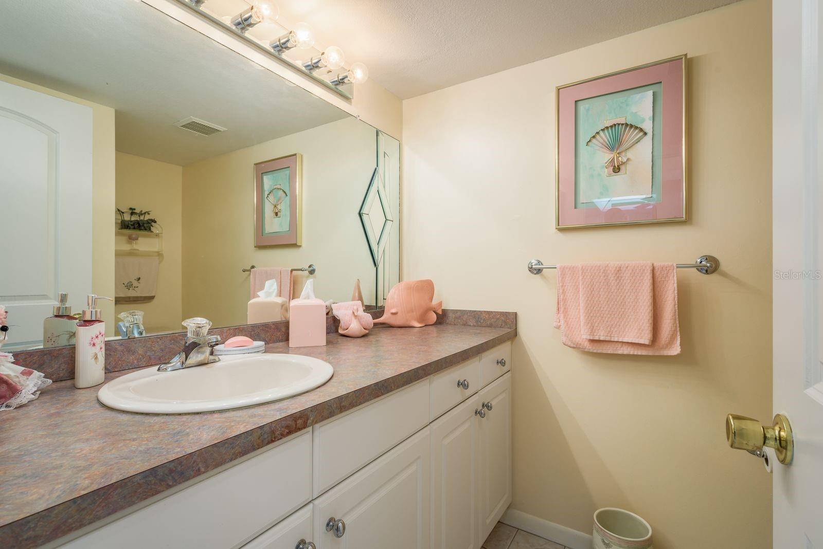 1712 HAMMOCK PINE BLVD #1712, CLEARWATER, FL, 33761