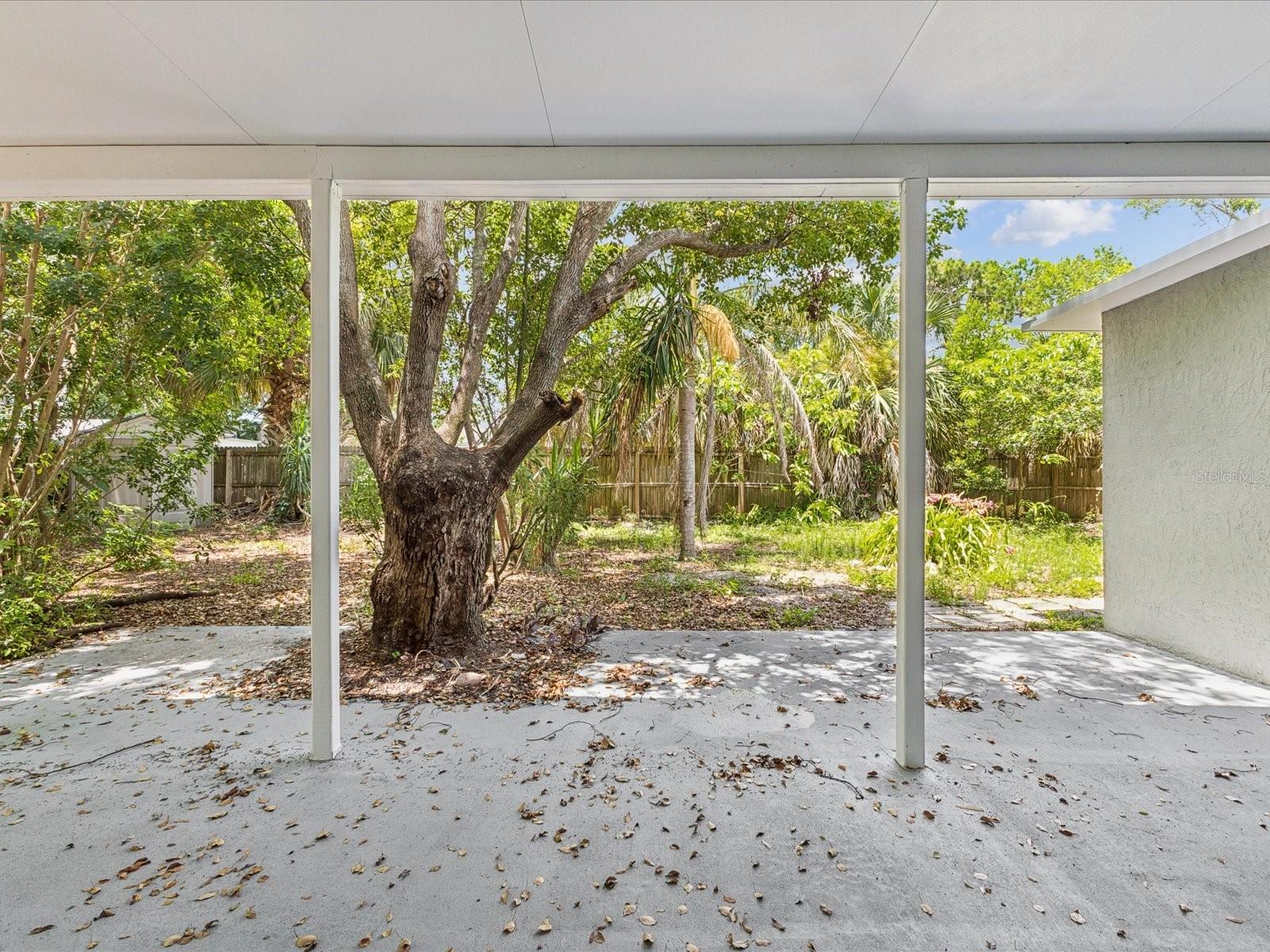 1843 BERG RD, HOLIDAY, FL, 34690