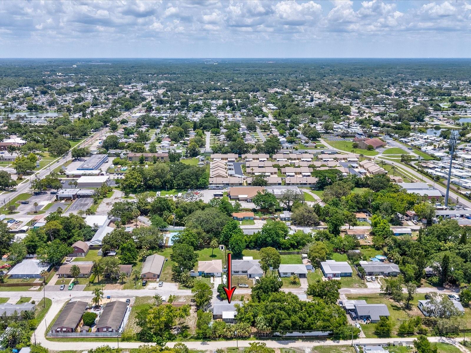 1843 BERG RD, HOLIDAY, FL, 34690