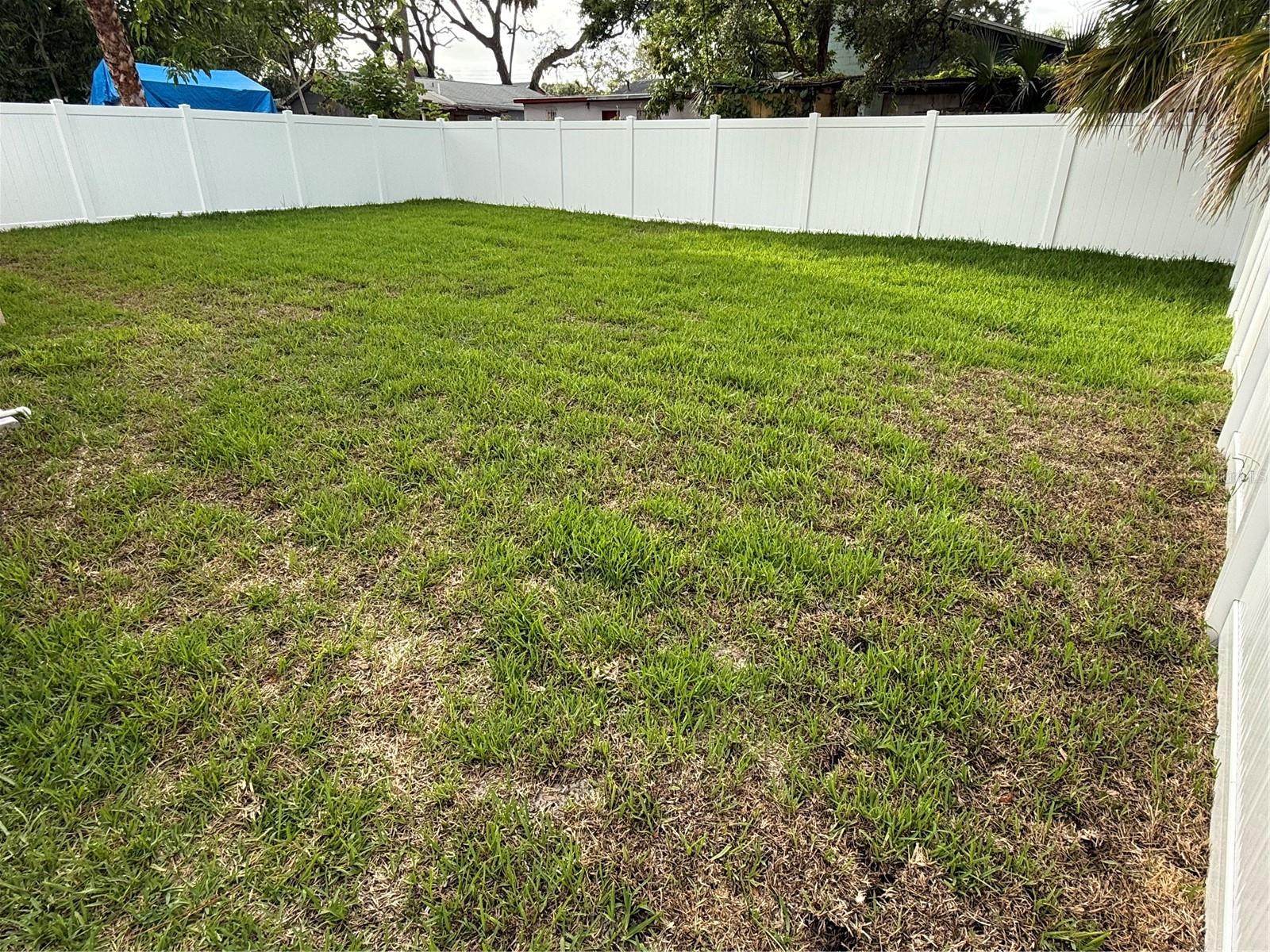 1913 W SAINT CONRAD ST, TAMPA, FL, 33607