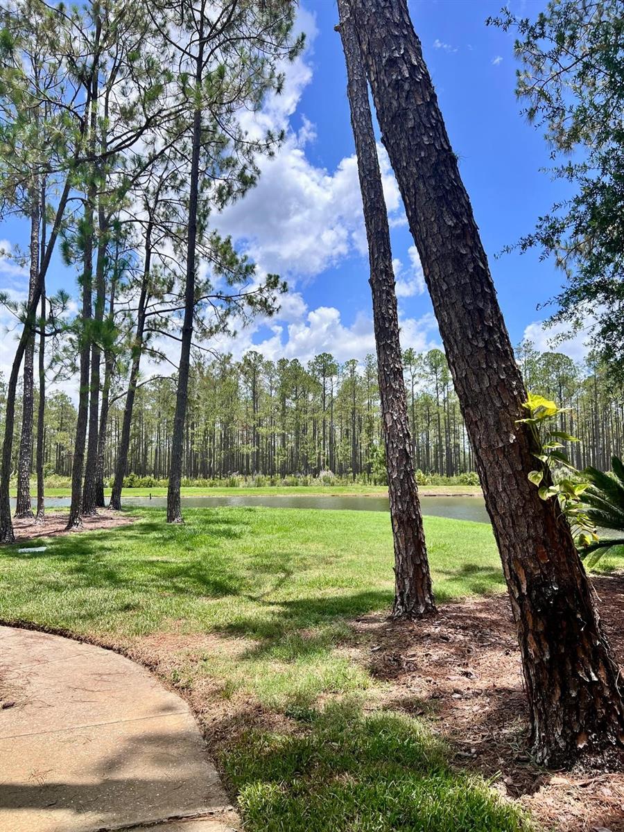 9481 HIGHLAND OAK DR #1101, TAMPA, FL, 33647