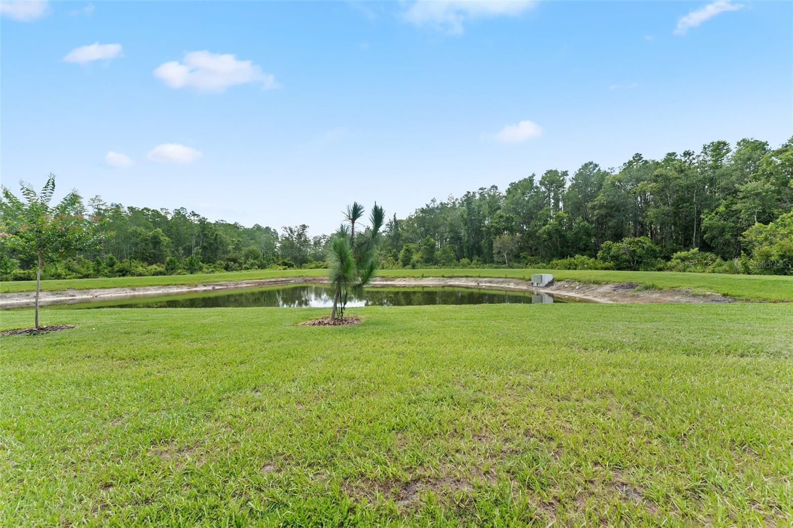 11082 CRESCENT DEER DR, LAND O LAKES, FL, 34638