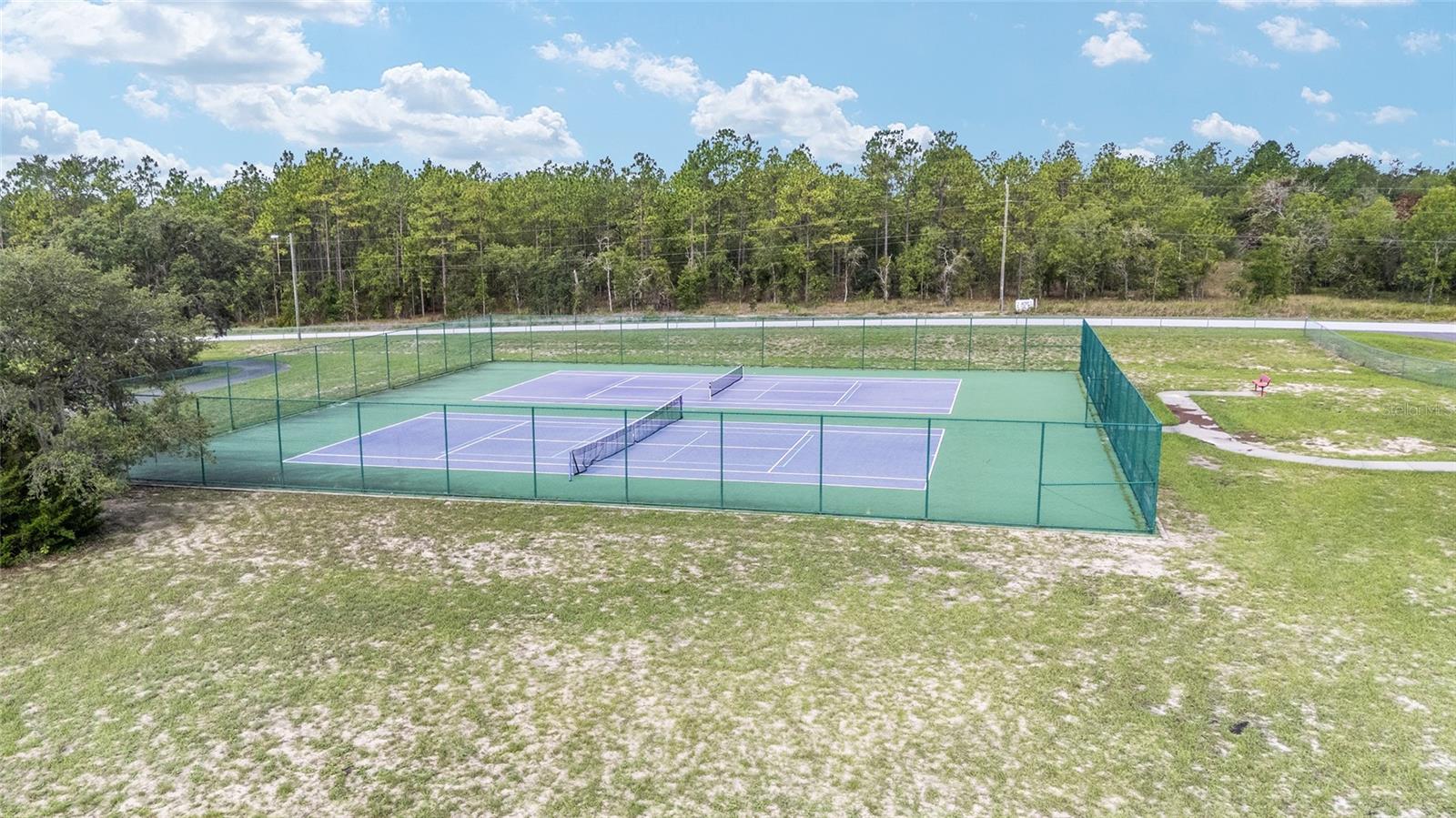391 NW CROCUS LN, DUNNELLON, FL, 34431