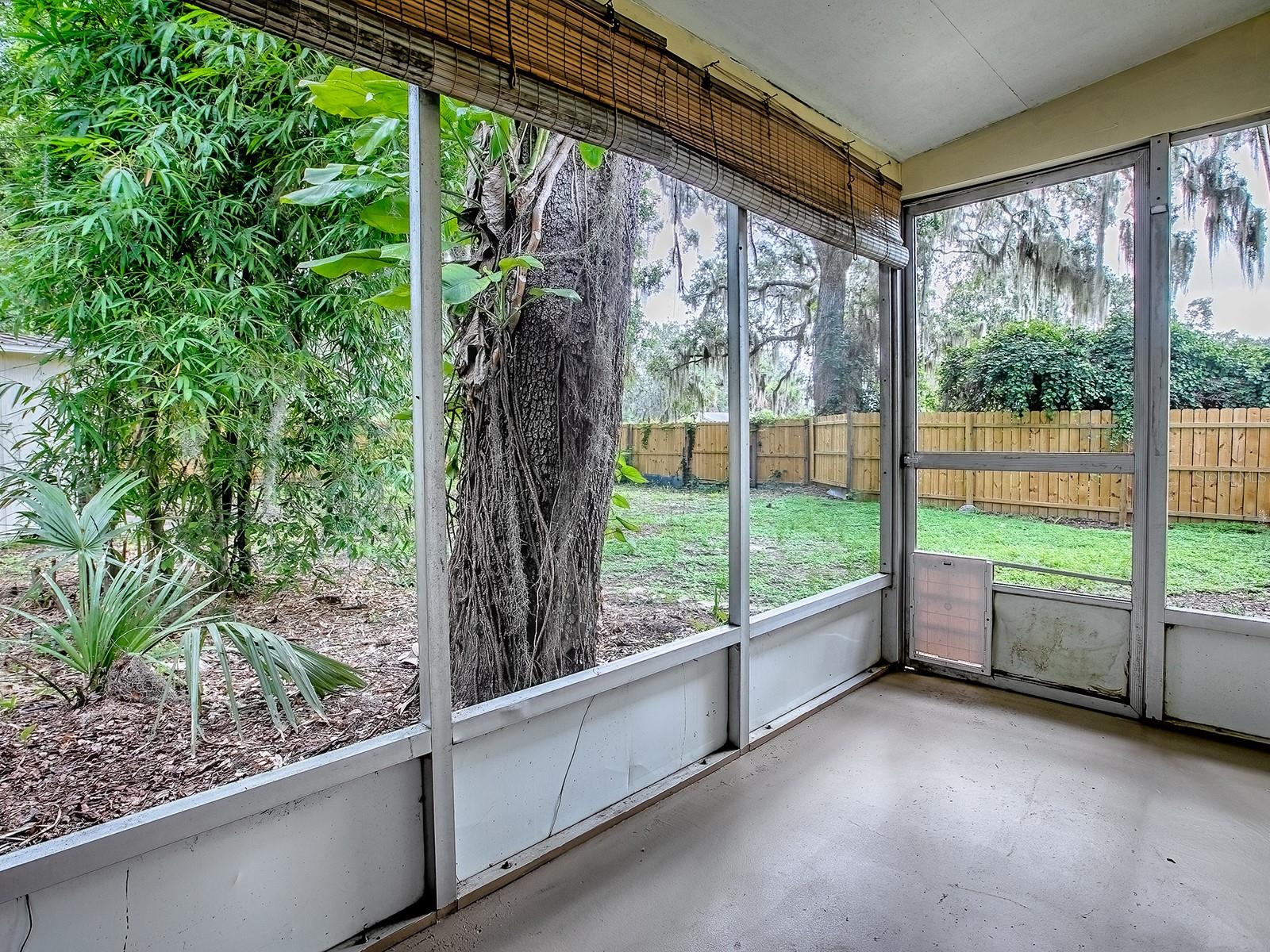 6731 LAKE GRIFFIN RD, LADY LAKE, FL, 32159