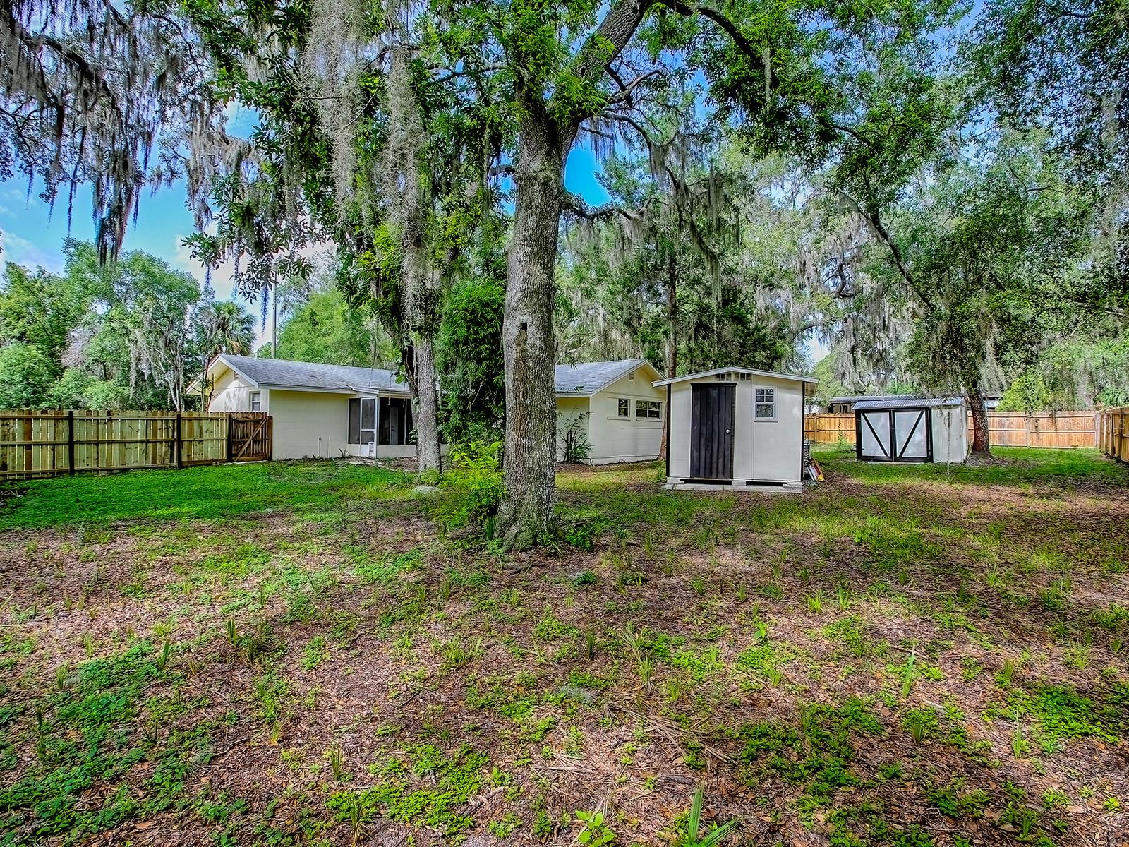 6731 LAKE GRIFFIN RD, LADY LAKE, FL, 32159