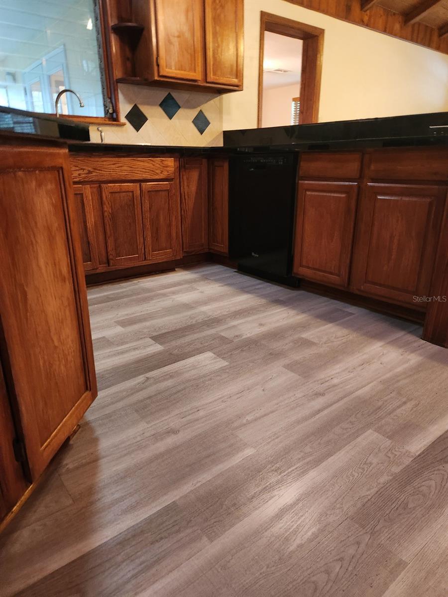 6731 LAKE GRIFFIN RD, LADY LAKE, FL, 32159