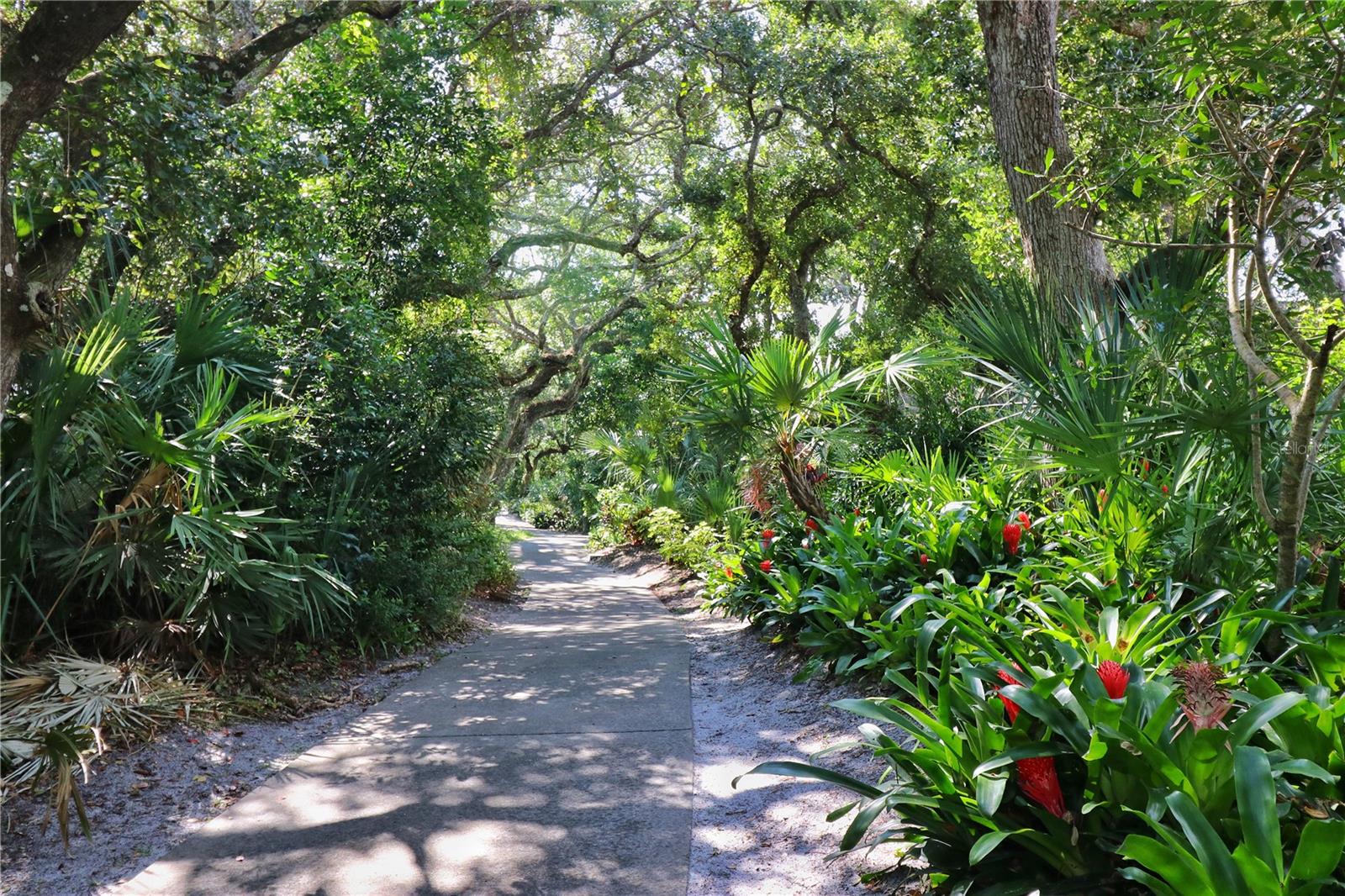 4403 SEA MIST DR #109, NEW SMYRNA BEACH, FL, 32169