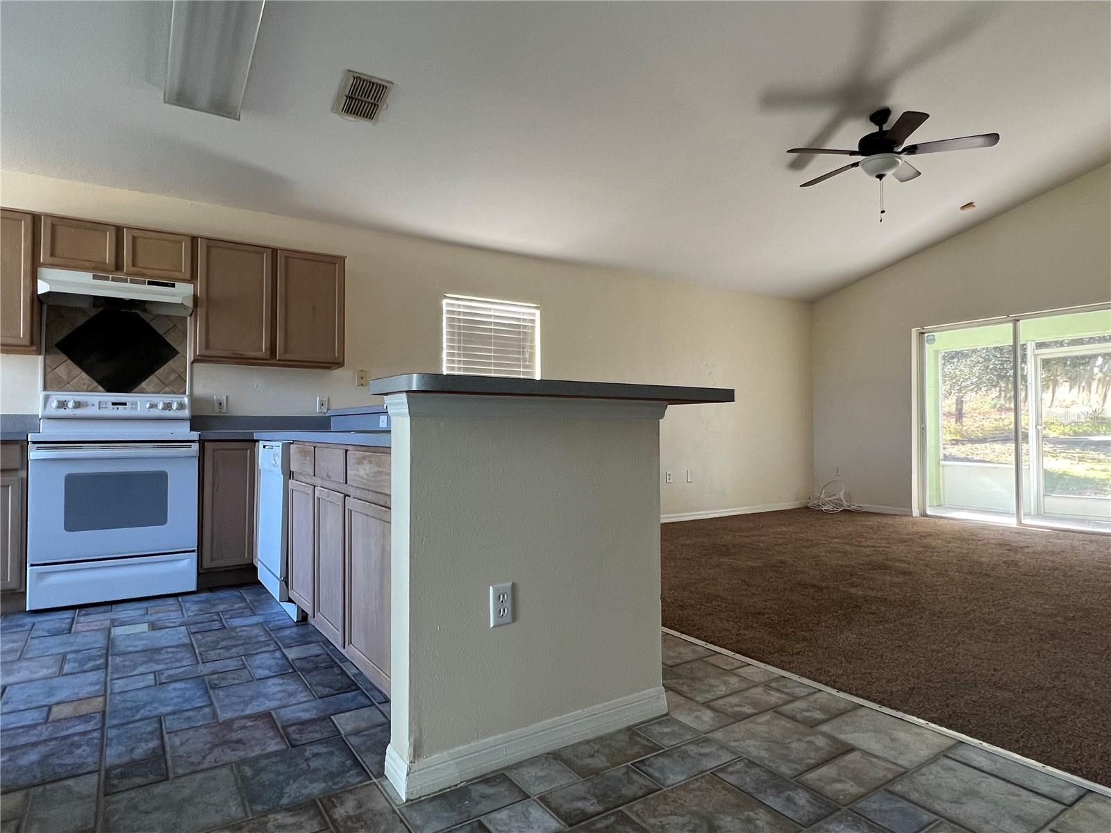 103 THORNBUSH PKWY, DAVENPORT, FL, 33837