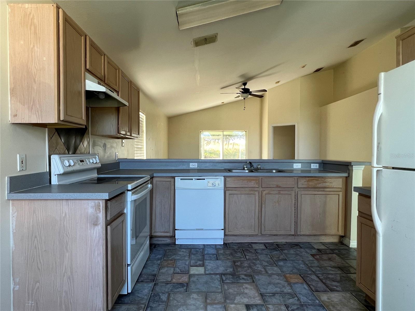 103 THORNBUSH PKWY, DAVENPORT, FL, 33837