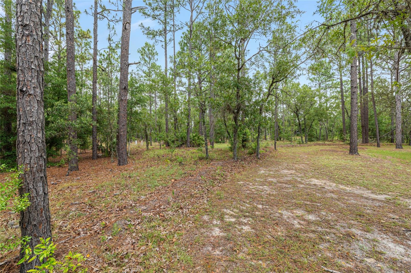9180 SW 202ND AVENUE RD, DUNNELLON, FL, 34431