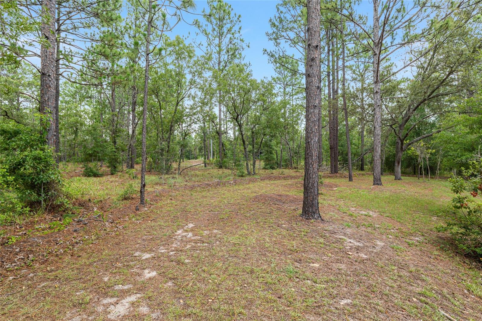 9180 SW 202ND AVENUE RD, DUNNELLON, FL, 34431