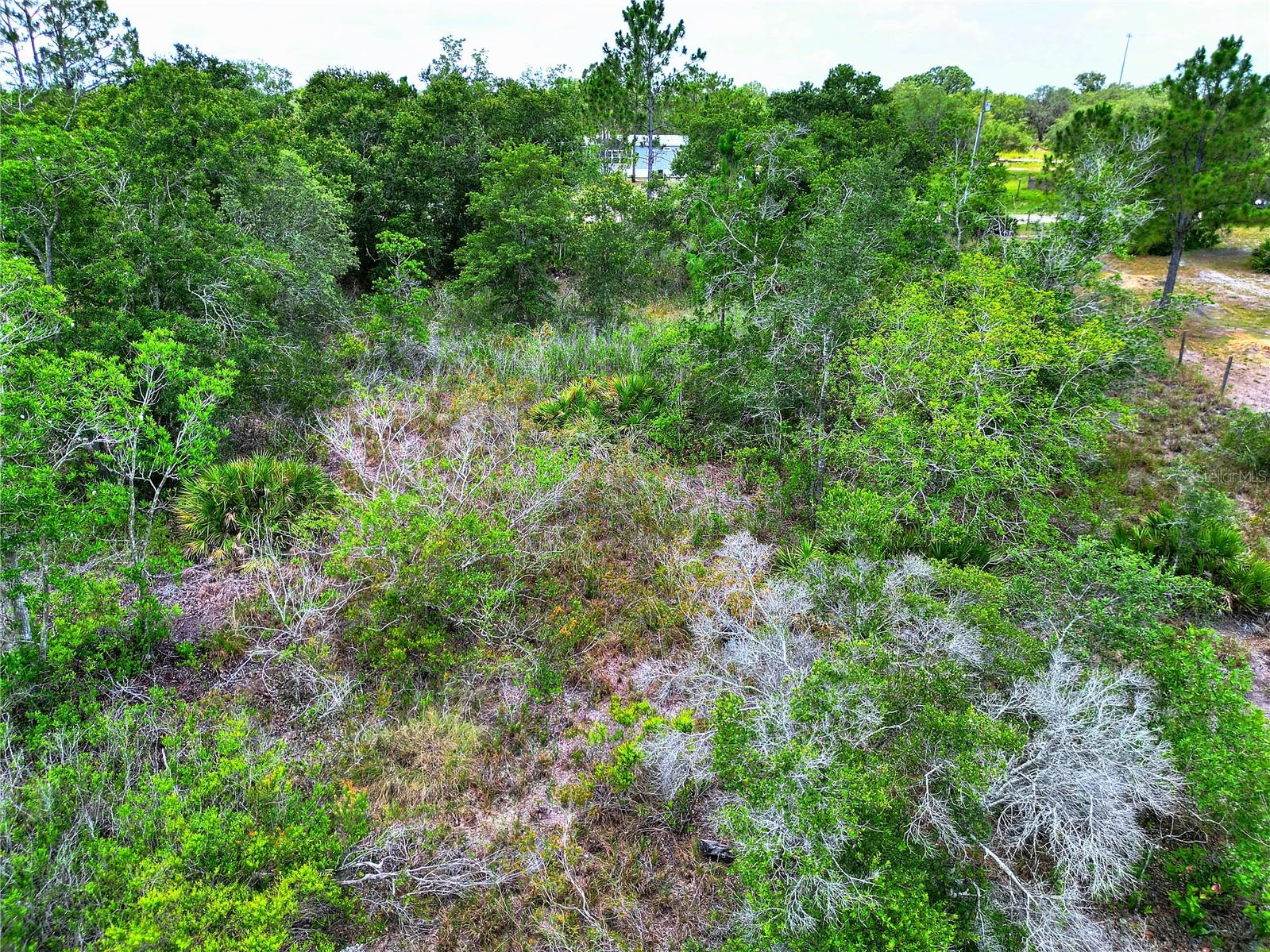 0 ALLISON AVE, LAKE WALES, FL, 33859