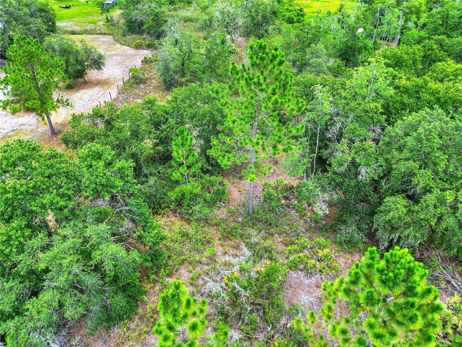 0 ALLISON AVE, LAKE WALES, FL, 33859