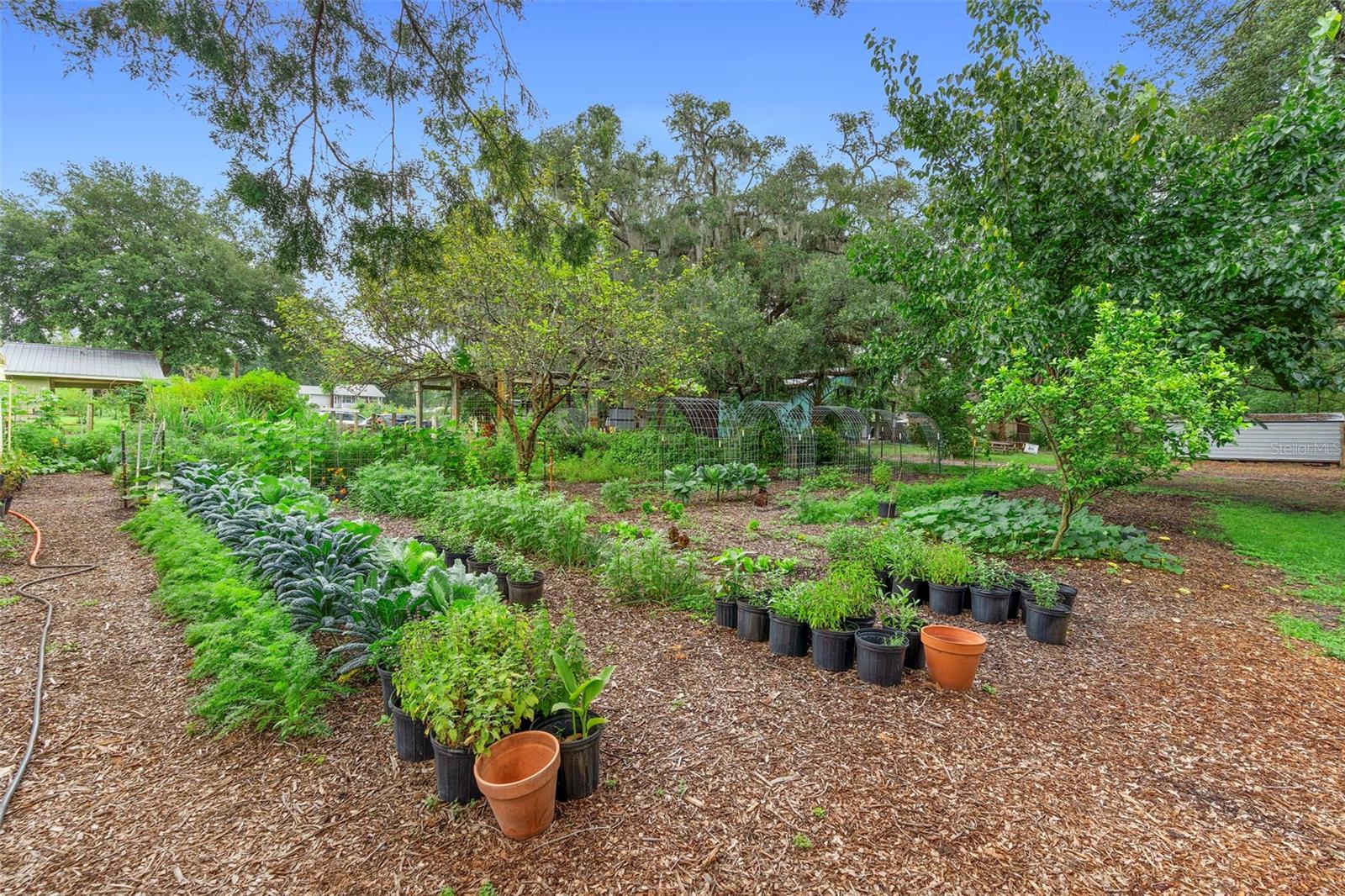 2016 LEWIS RD, LEESBURG, FL, 34748