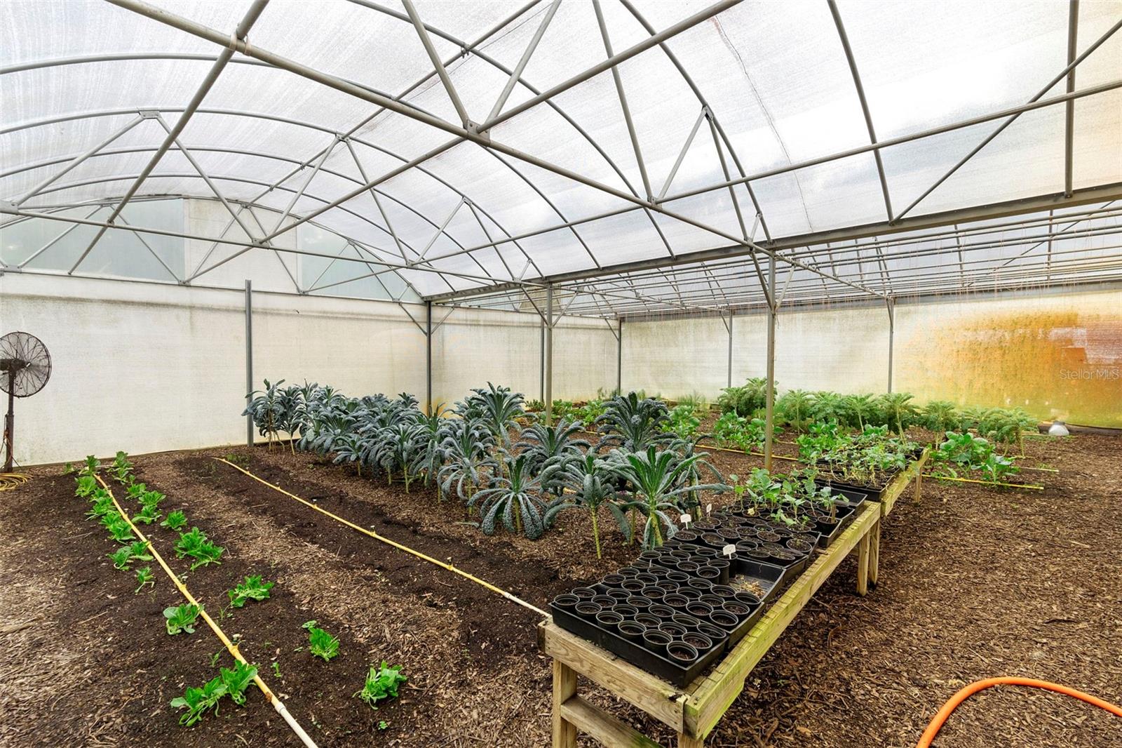 2016 LEWIS RD, LEESBURG, FL, 34748