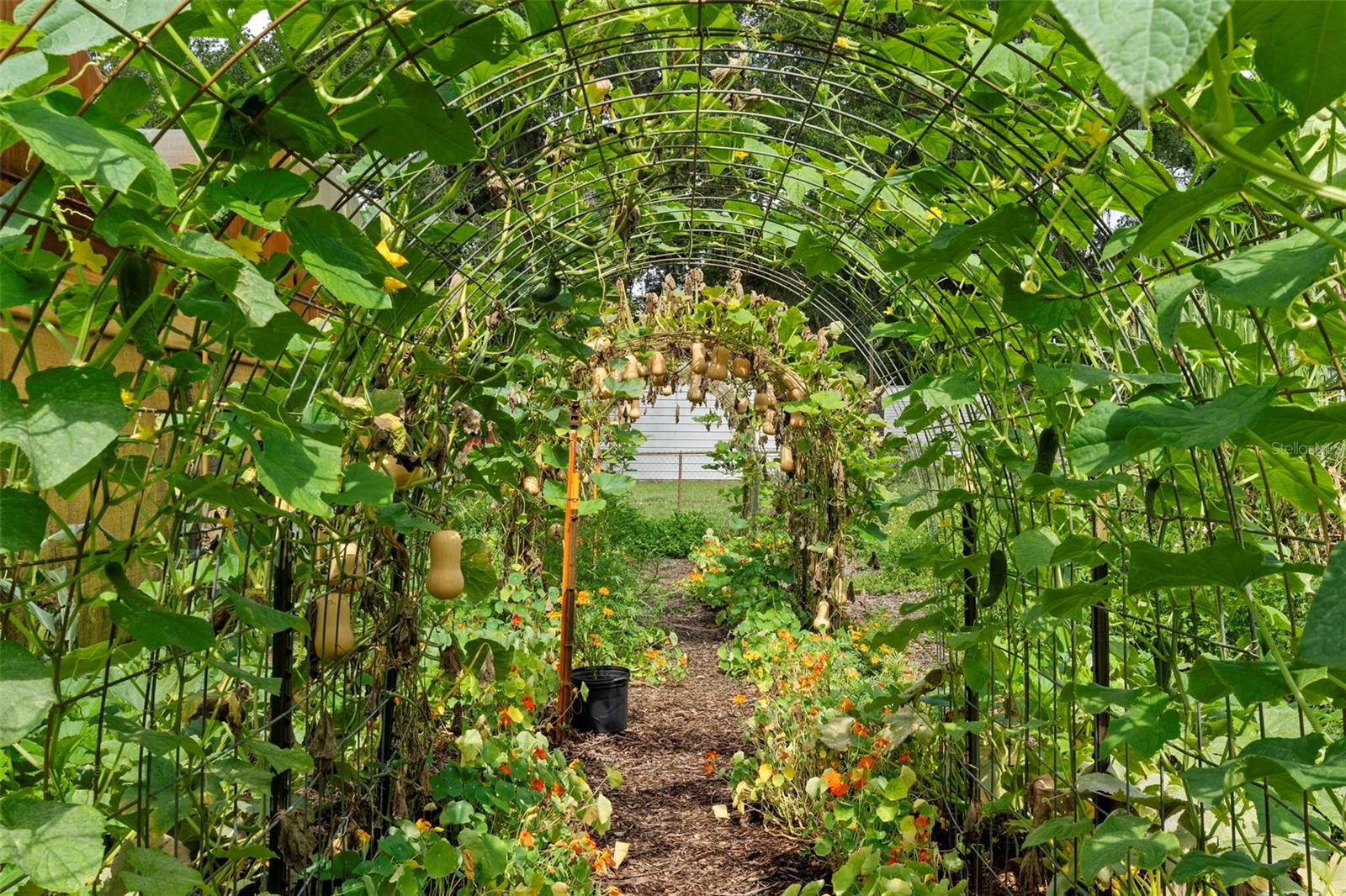 2016 LEWIS RD, LEESBURG, FL, 34748