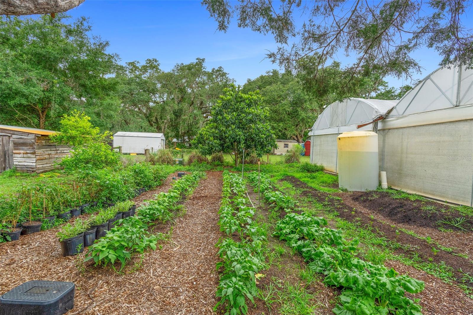 2016 LEWIS RD, LEESBURG, FL, 34748