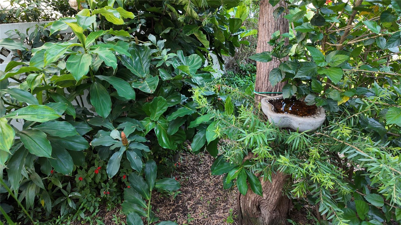 1133 INDIGO DR, CELEBRATION, FL, 34747