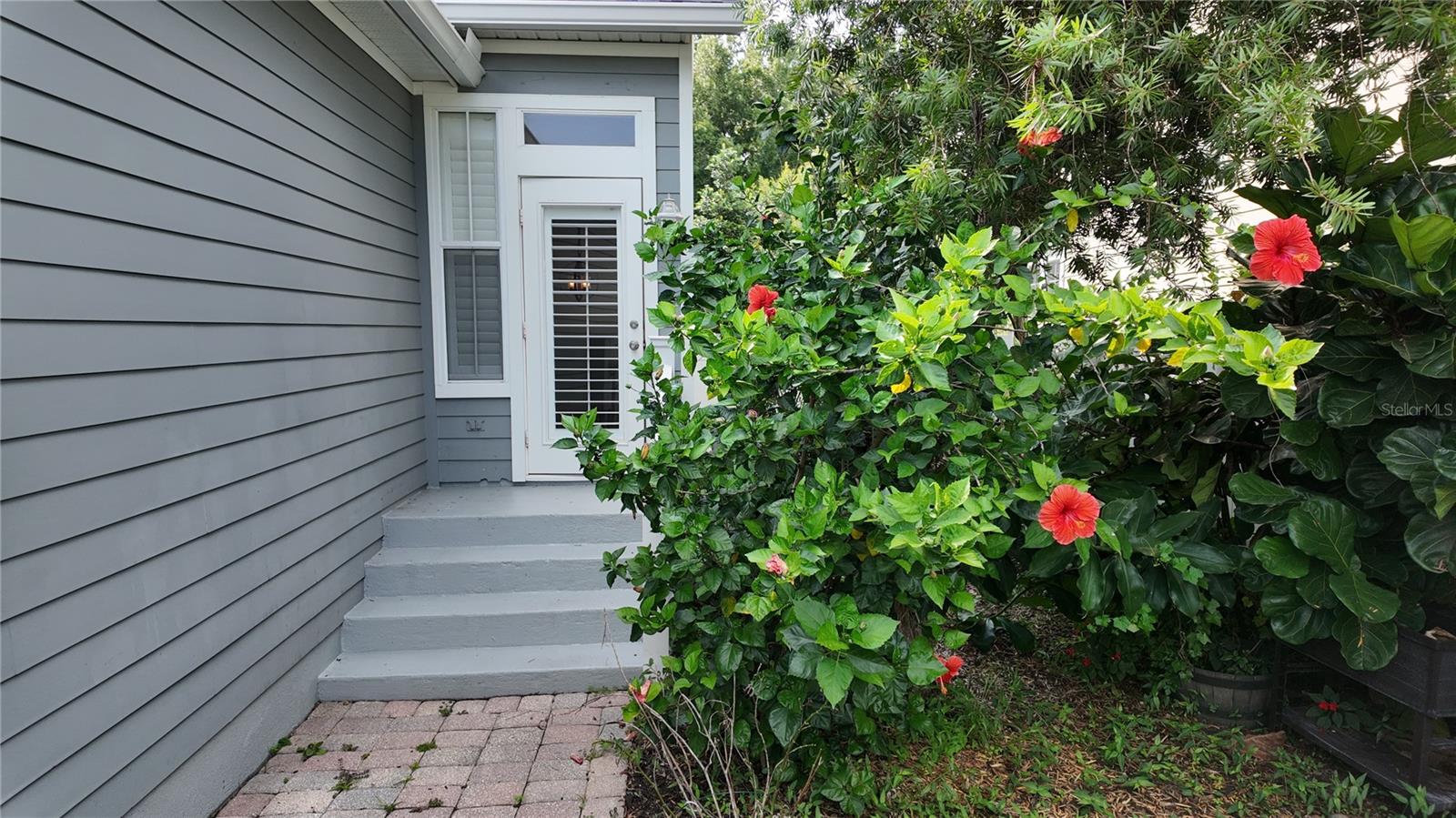 1133 INDIGO DR, CELEBRATION, FL, 34747