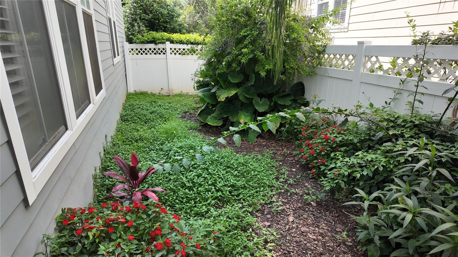 1133 INDIGO DR, CELEBRATION, FL, 34747