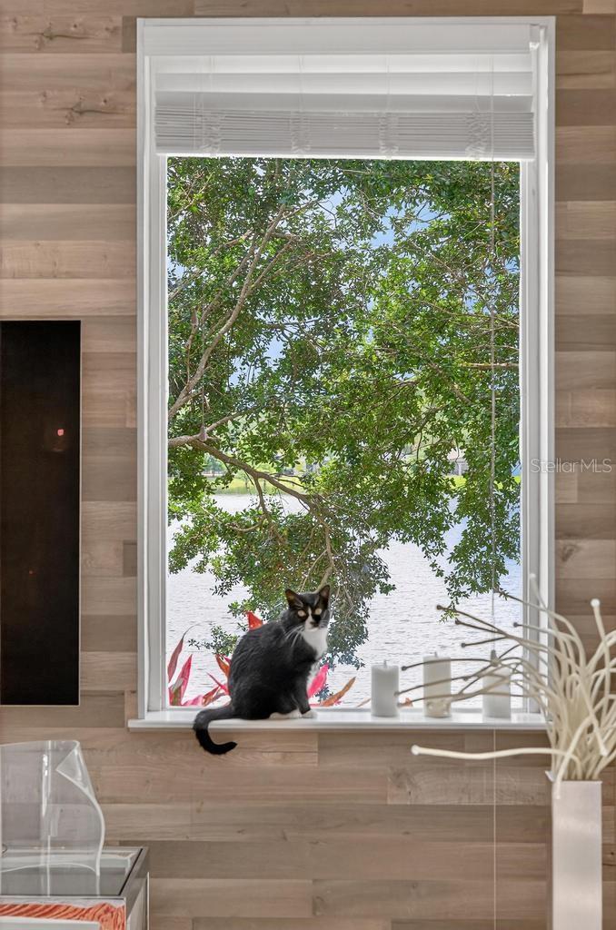 533 QUAIL DOWN DR, DEBARY, FL, 32713