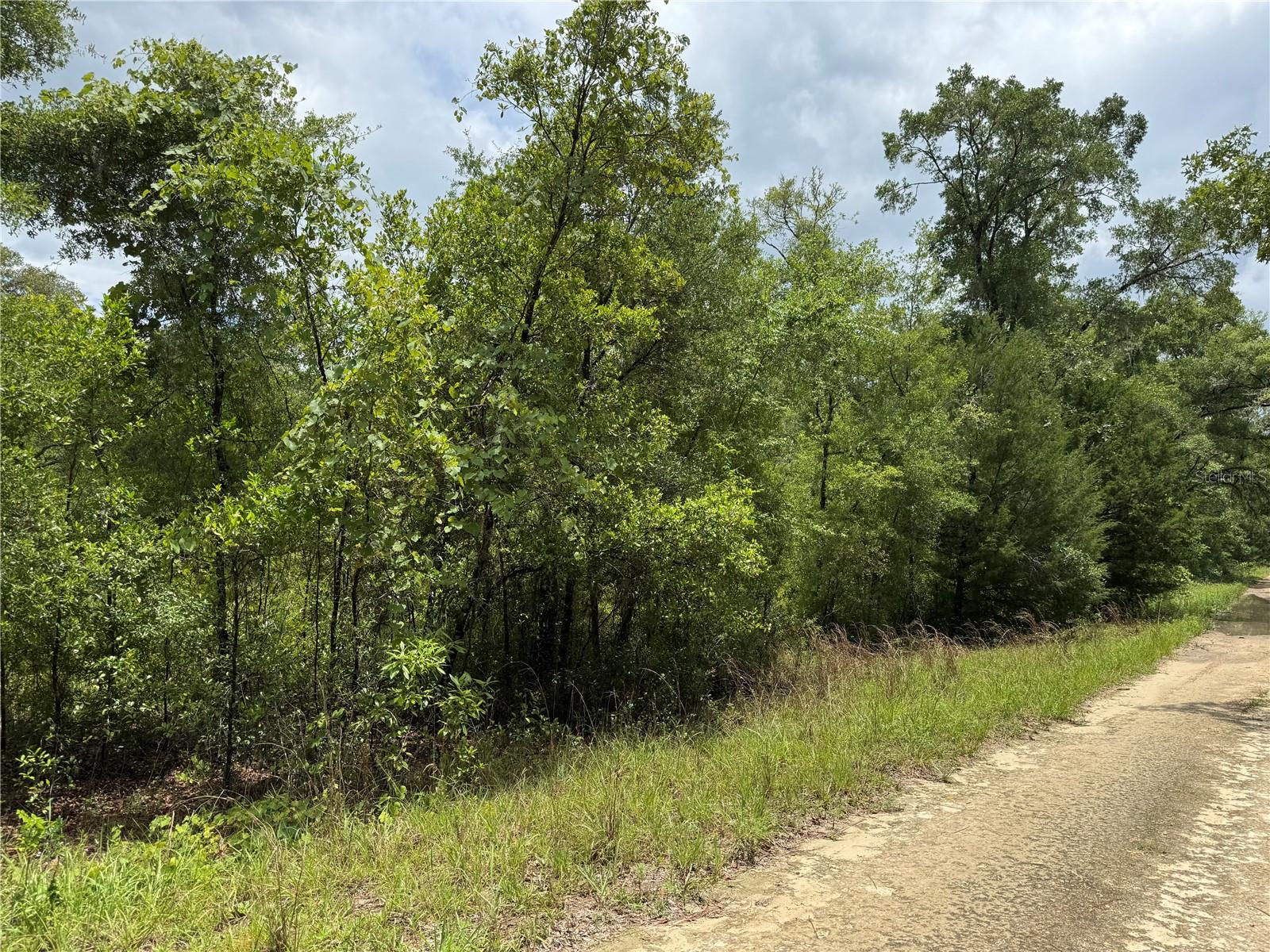 00 NE 9TH PL, WILLISTON, FL, 32696