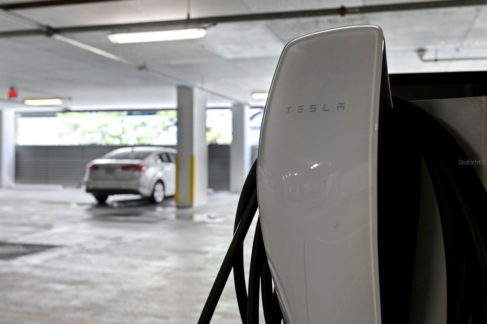 TB8397577 Property Photo