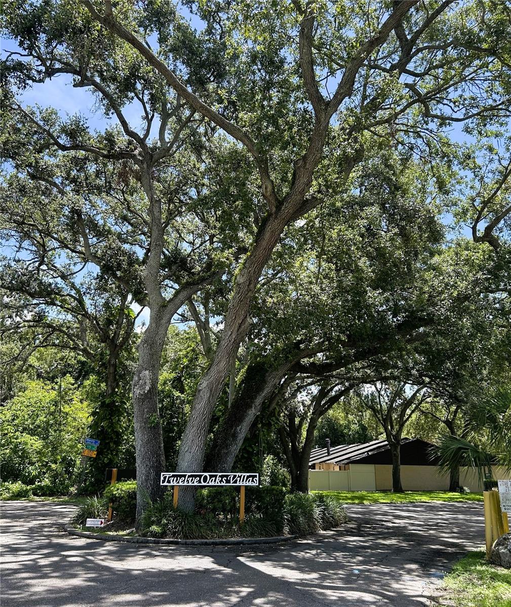 7201 DAIQUIRI LN, TAMPA, FL, 33634