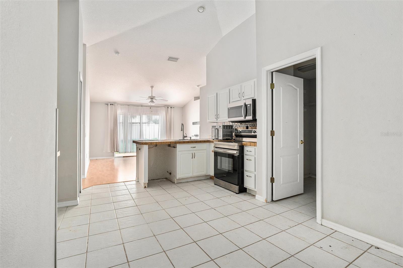 10039 CREEK BLUFF DR, RIVERVIEW, FL, 33578