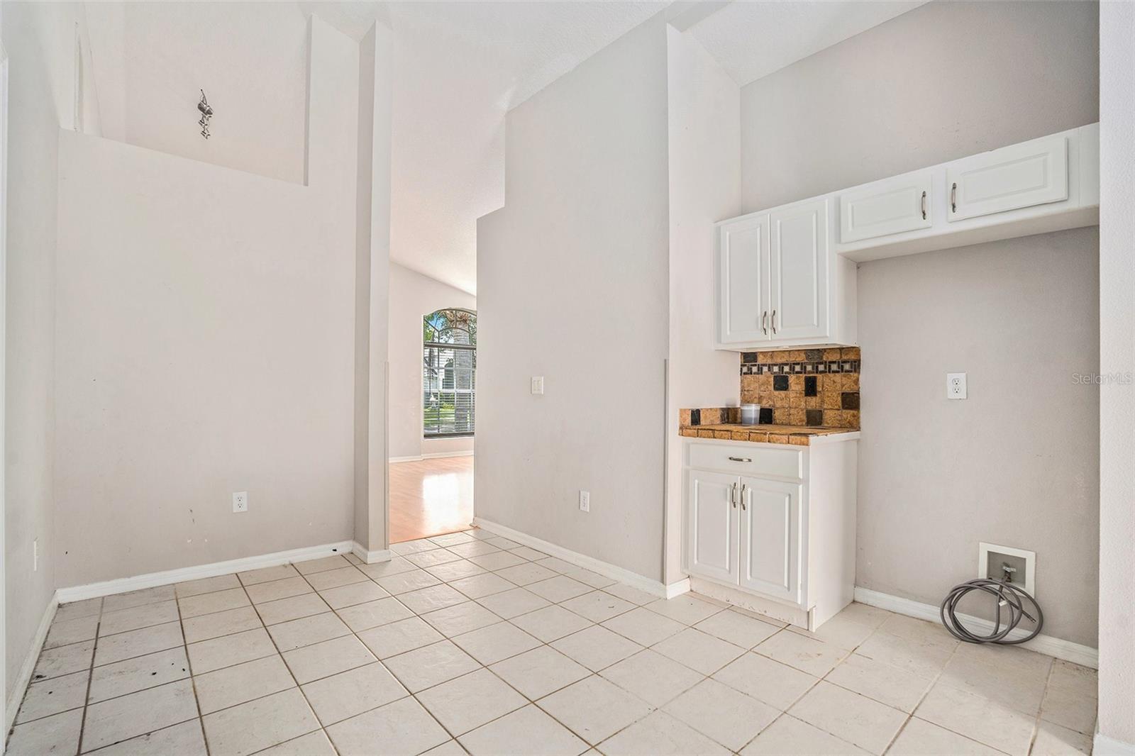 10039 CREEK BLUFF DR, RIVERVIEW, FL, 33578