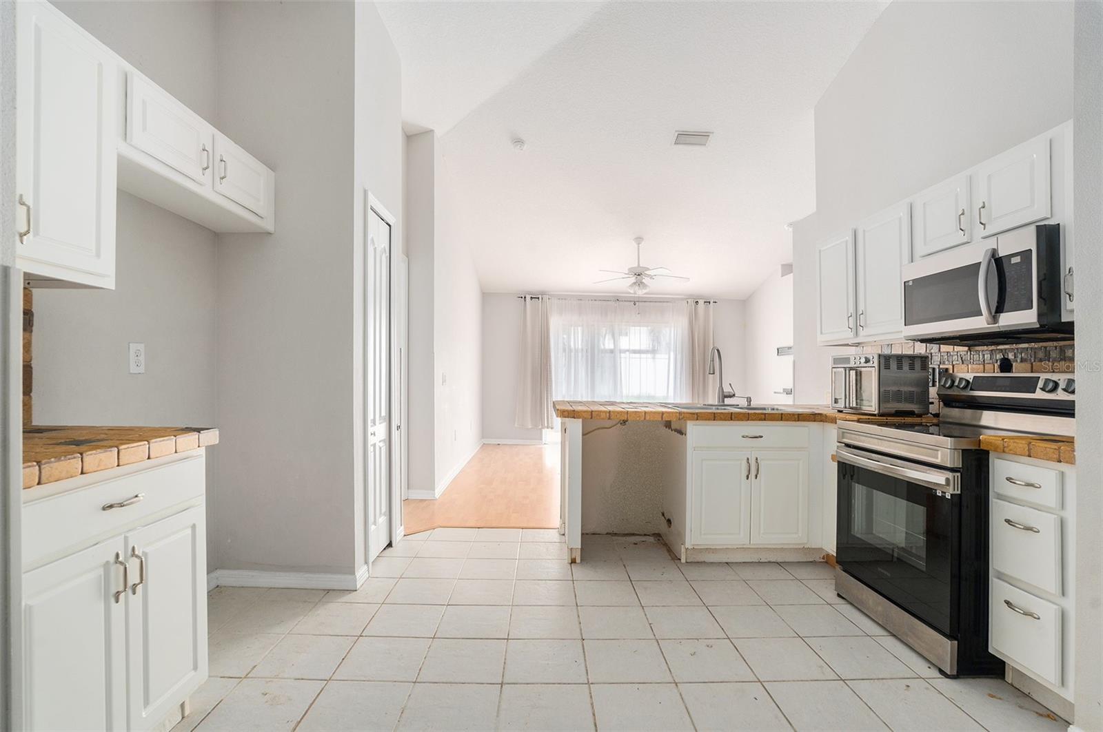 10039 CREEK BLUFF DR, RIVERVIEW, FL, 33578