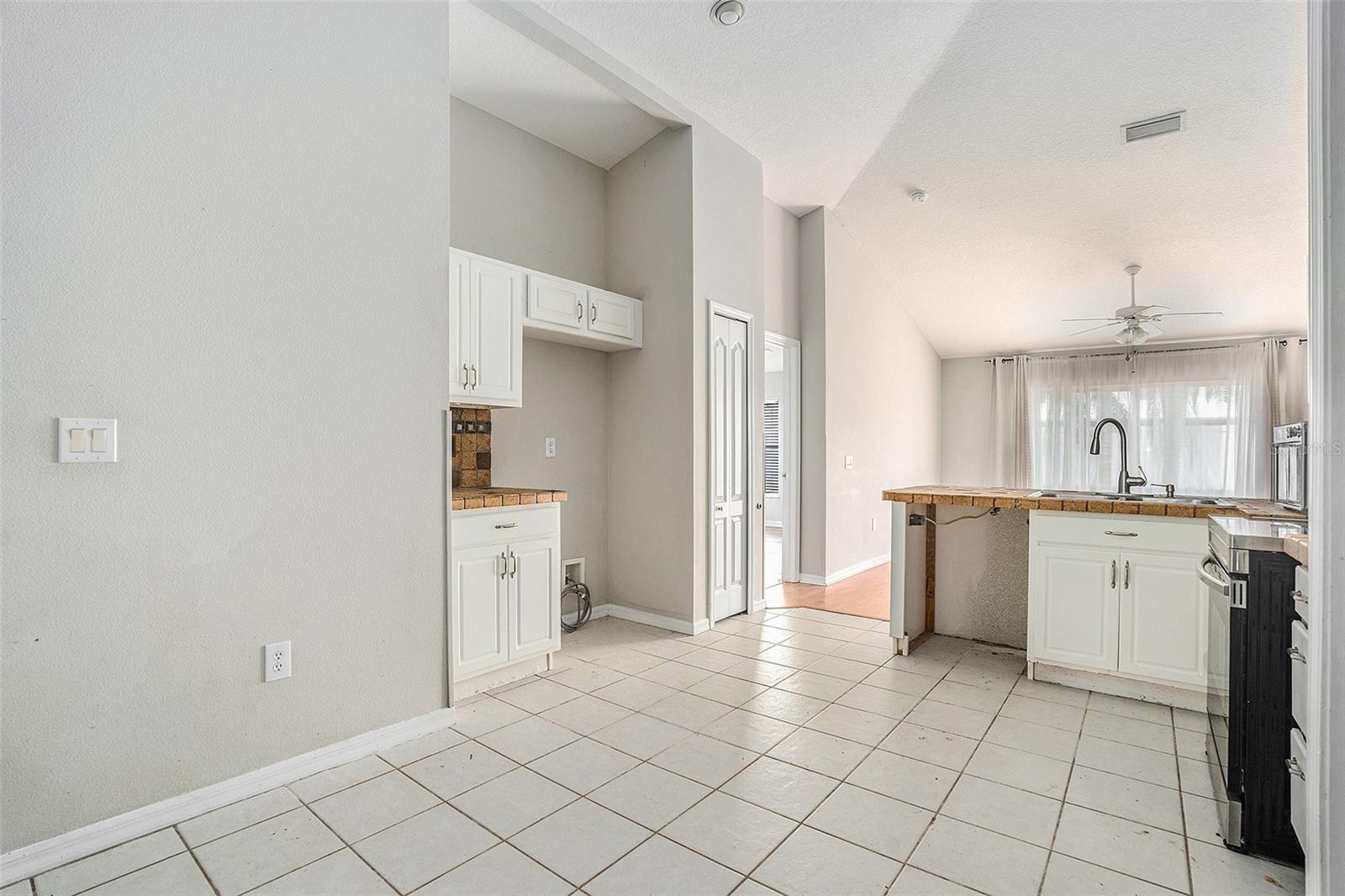 10039 CREEK BLUFF DR, RIVERVIEW, FL, 33578