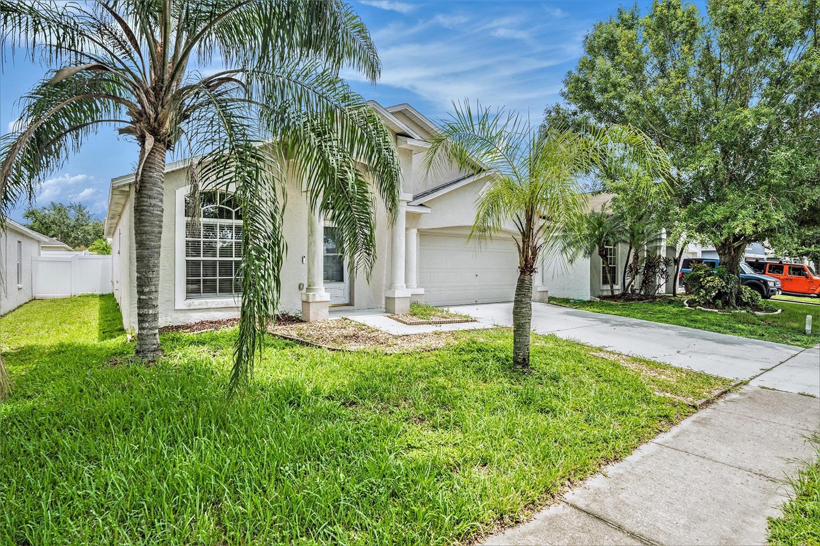 10039 CREEK BLUFF DR, RIVERVIEW, FL, 33578