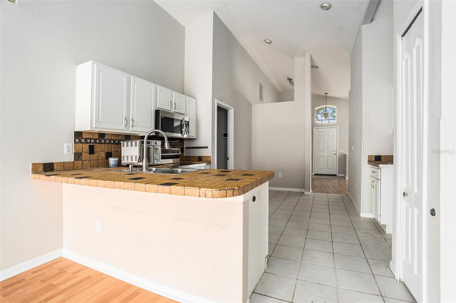 10039 CREEK BLUFF DR, RIVERVIEW, FL, 33578