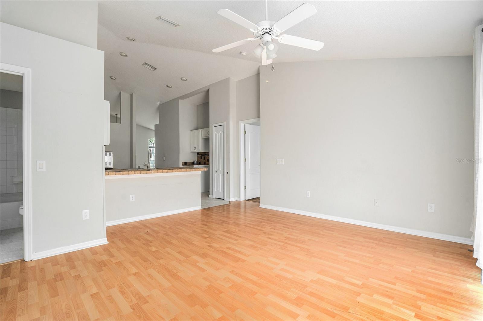 10039 CREEK BLUFF DR, RIVERVIEW, FL, 33578