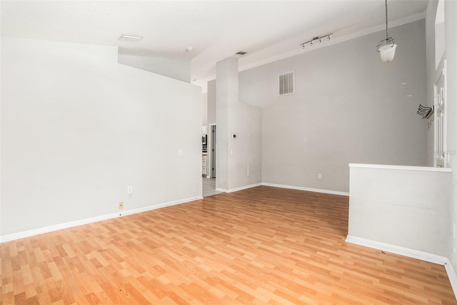 10039 CREEK BLUFF DR, RIVERVIEW, FL, 33578