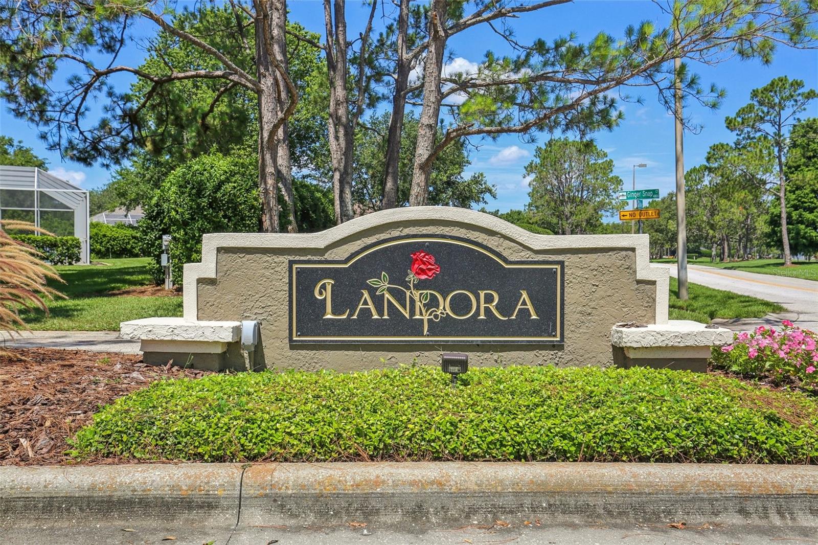 19113 GOLDEN CACOON PL, LUTZ, FL, 33558