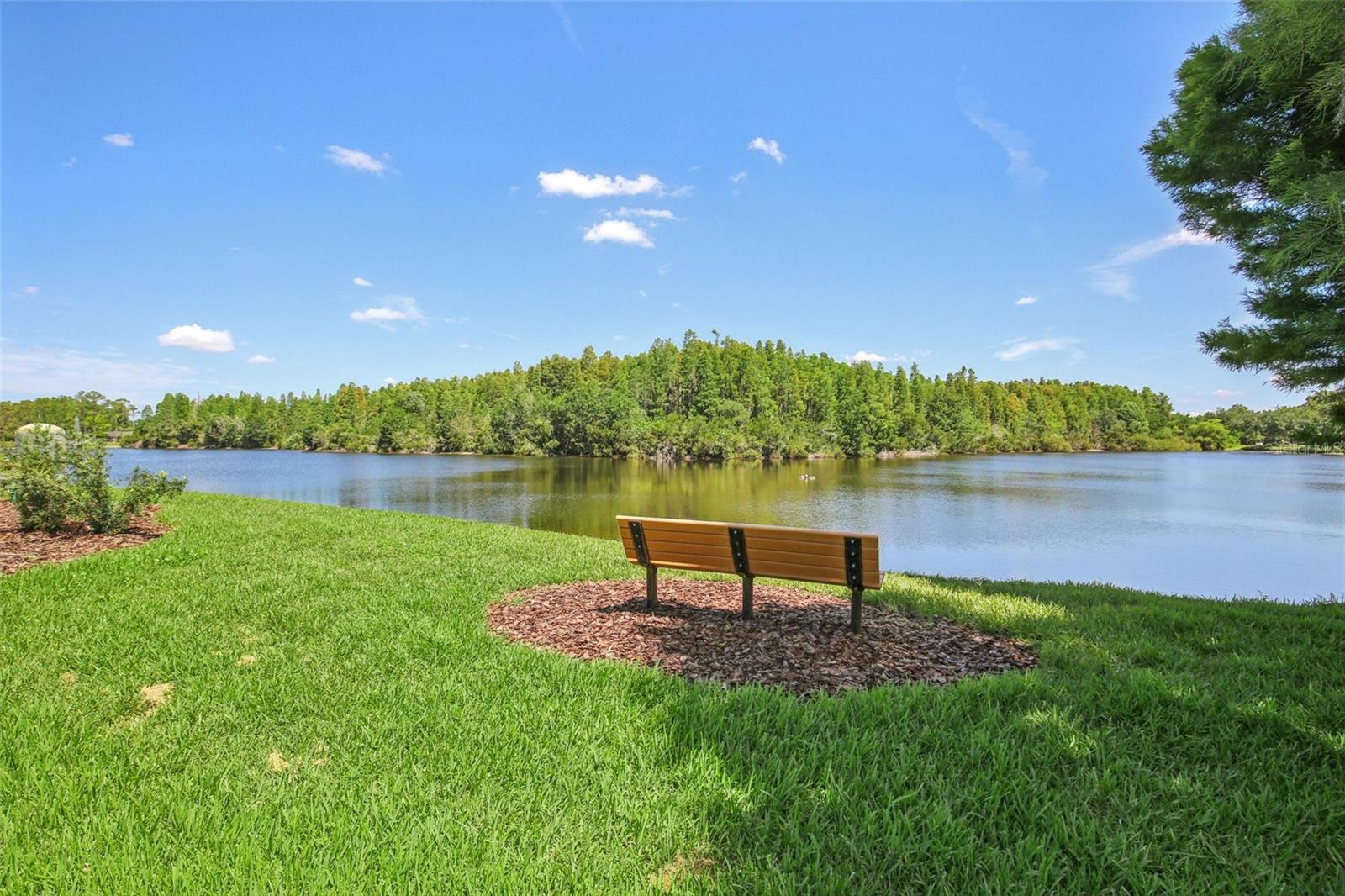 19113 GOLDEN CACOON PL, LUTZ, FL, 33558