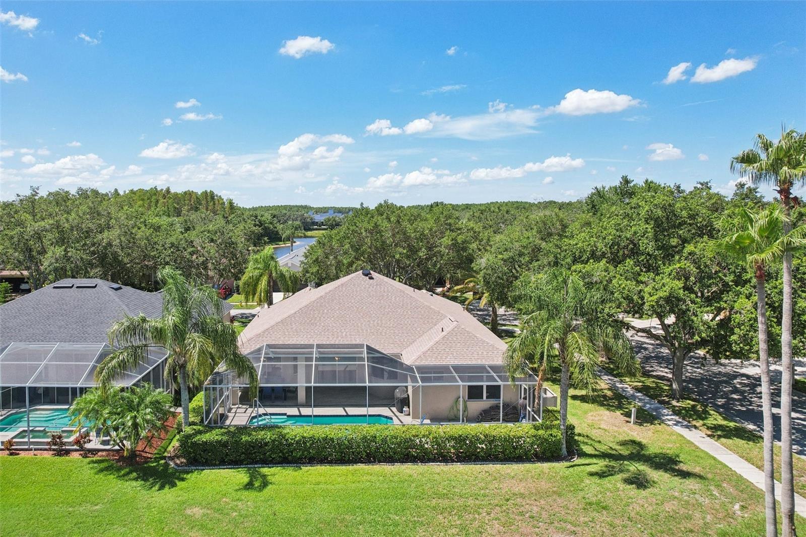 19113 GOLDEN CACOON PL, LUTZ, FL, 33558