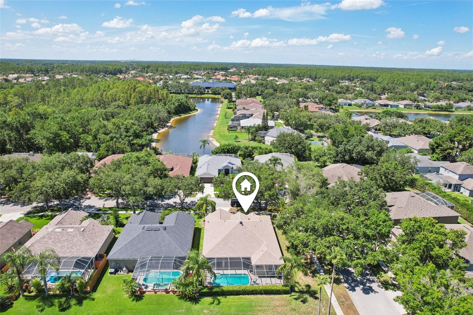 19113 GOLDEN CACOON PL, LUTZ, FL, 33558